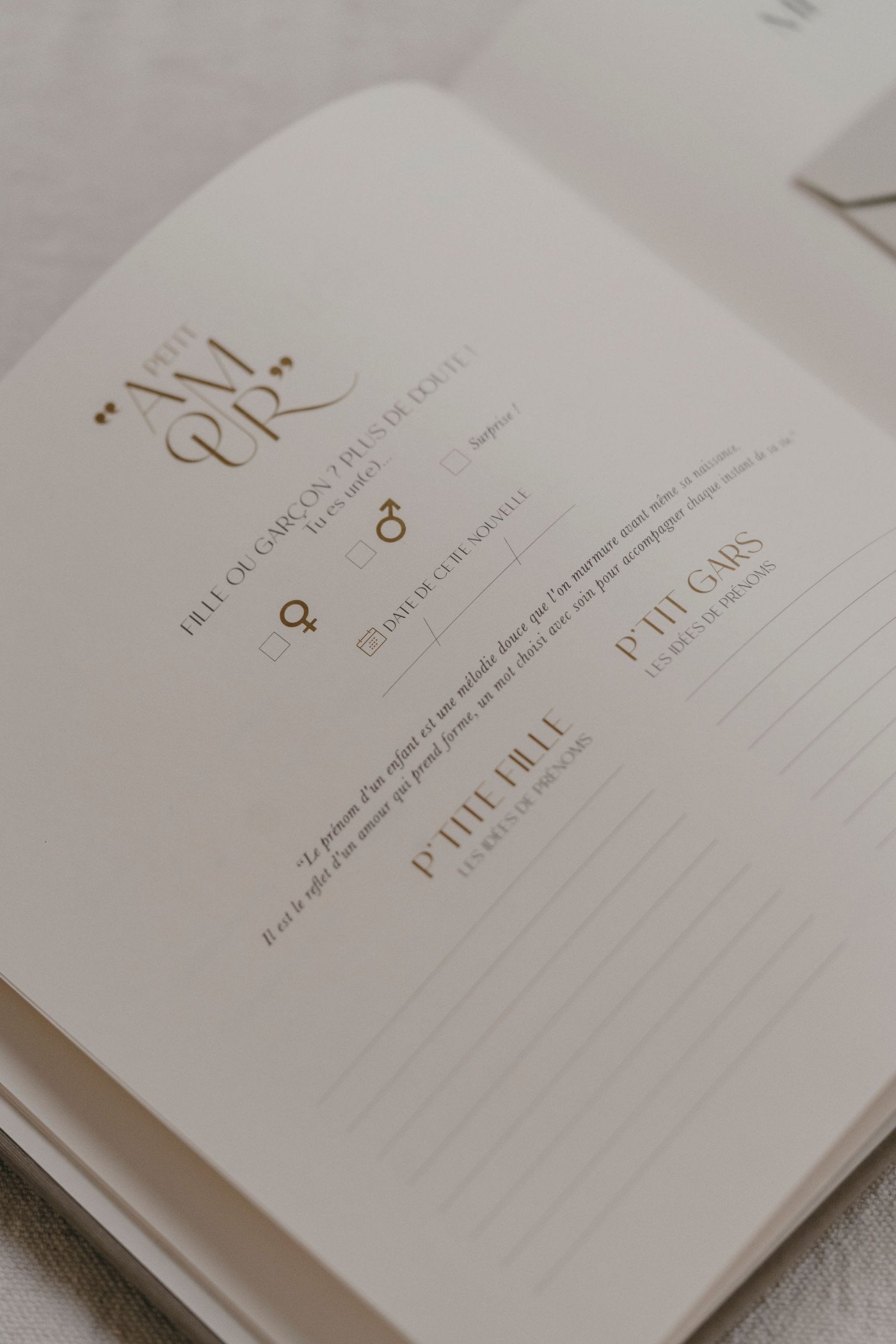 Livre de naissance Pure Lin – Image 2