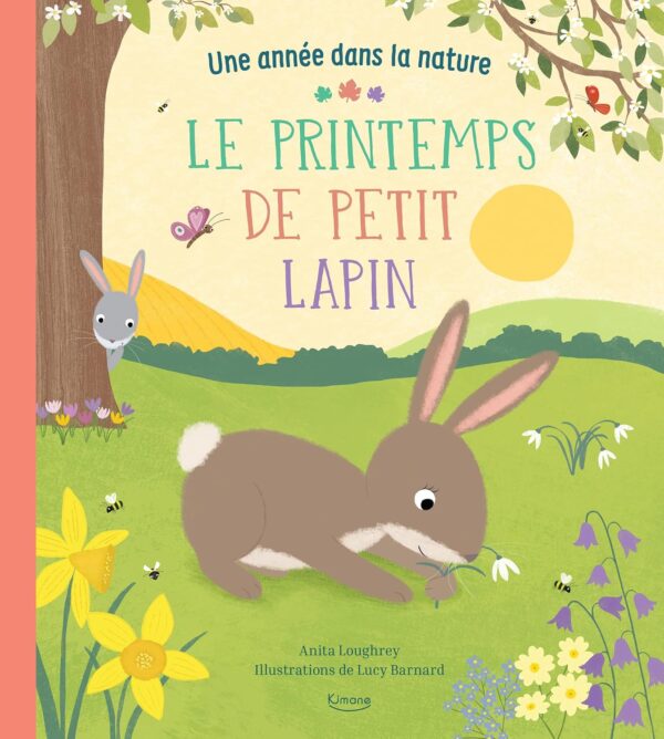 Le printemps de petit lapin (collection une année dans la nature)