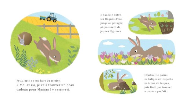 Le printemps de petit lapin (collection une année dans la nature) – Image 3