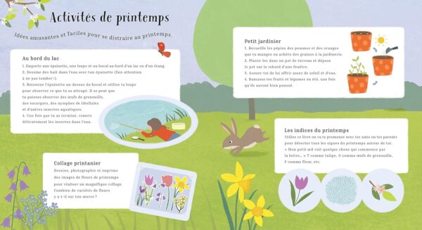 Le printemps de petit lapin (collection une année dans la nature) – Image 5