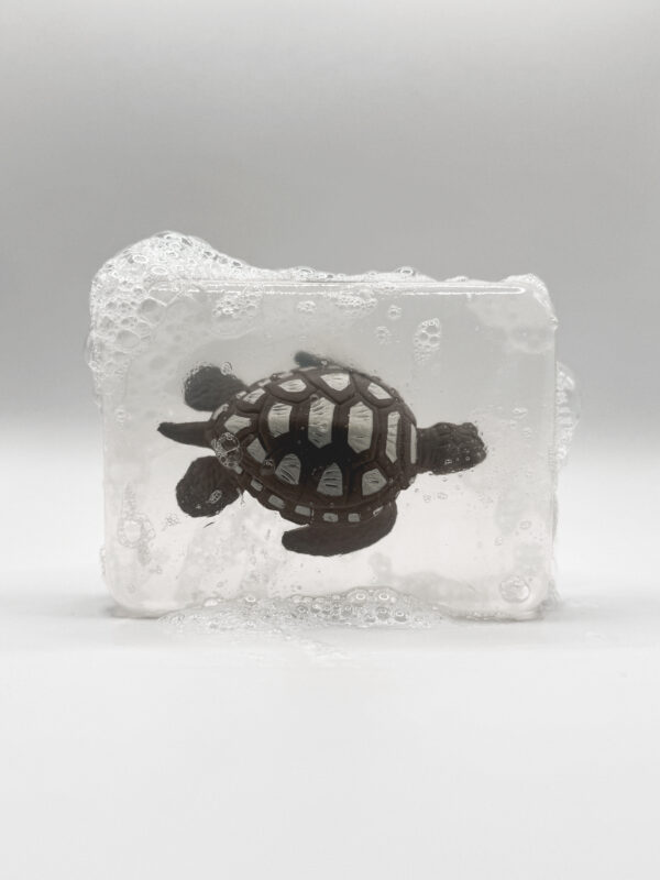 Savon Tortue à tâches