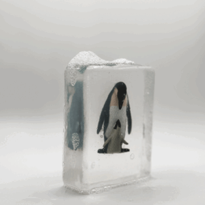 Savon bébé et maman pingouin