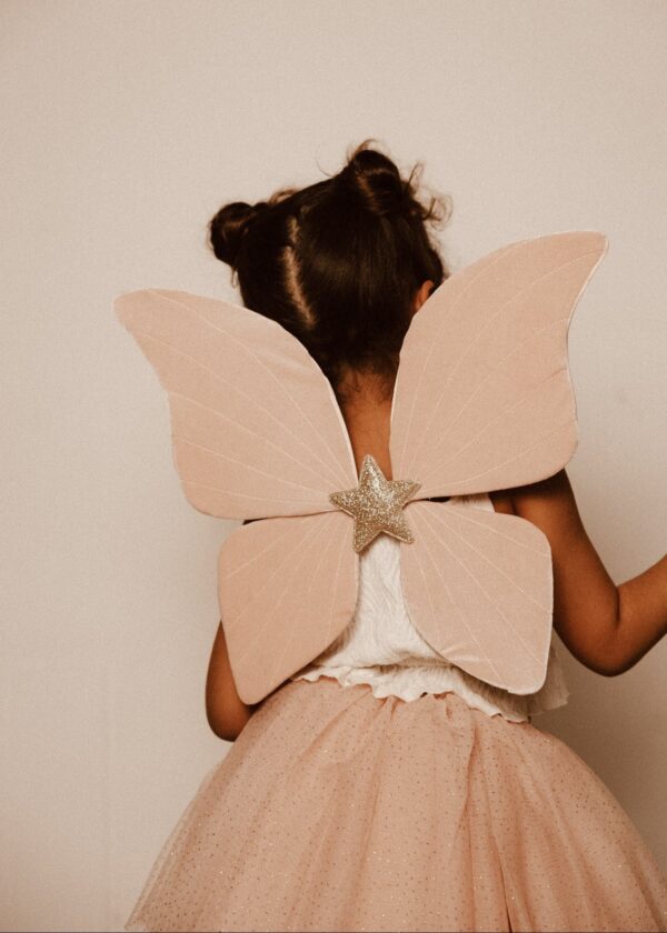 Ailes en velours de papillon rose – Image 3