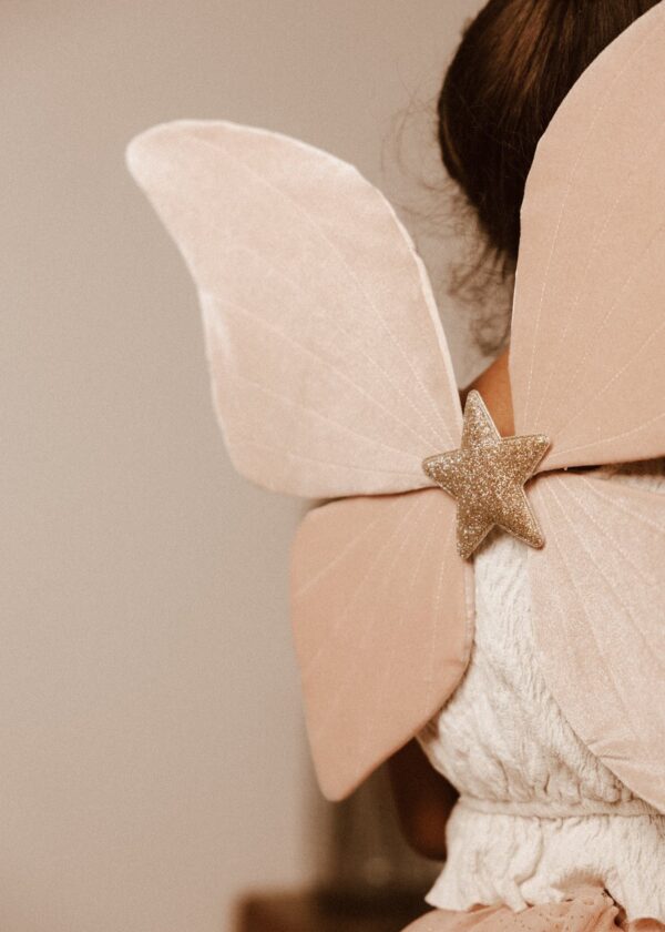 Ailes en velours de papillon rose – Image 4