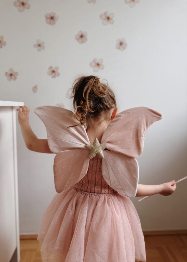 Ailes en velours de papillon rose