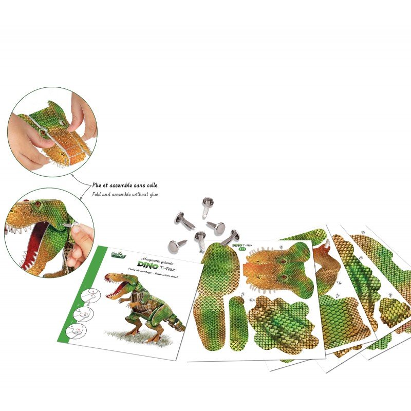 Maquette géante Dinosaure T- rex _ Créa Lign’ – Image 2